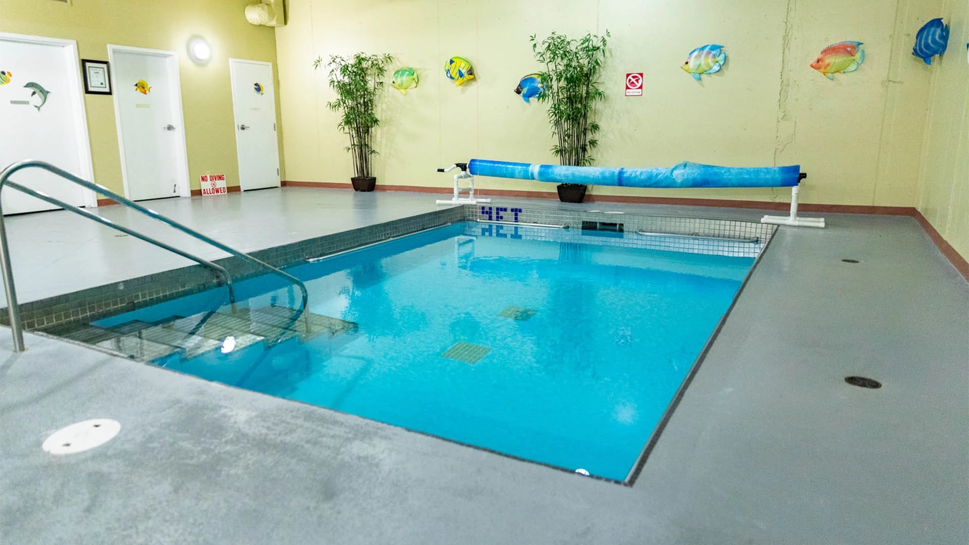 A swimming pool on site